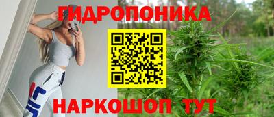 ГАЛЛЮЦИНОГЕННЫЕ ГРИБЫ Кинель