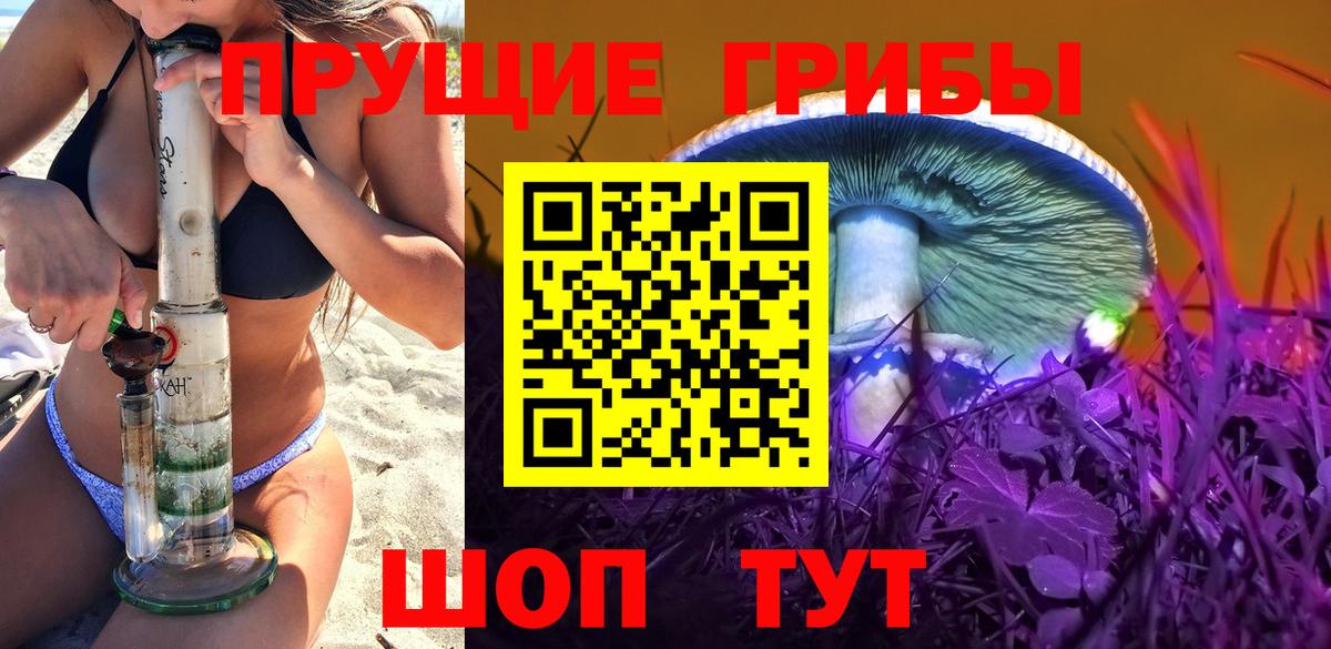 Псилоцибиновые грибы MAGIC MUSHROOMS  Вход с VPN  Котлас  Галлюциногенные грибы Psilocybine cubensis 