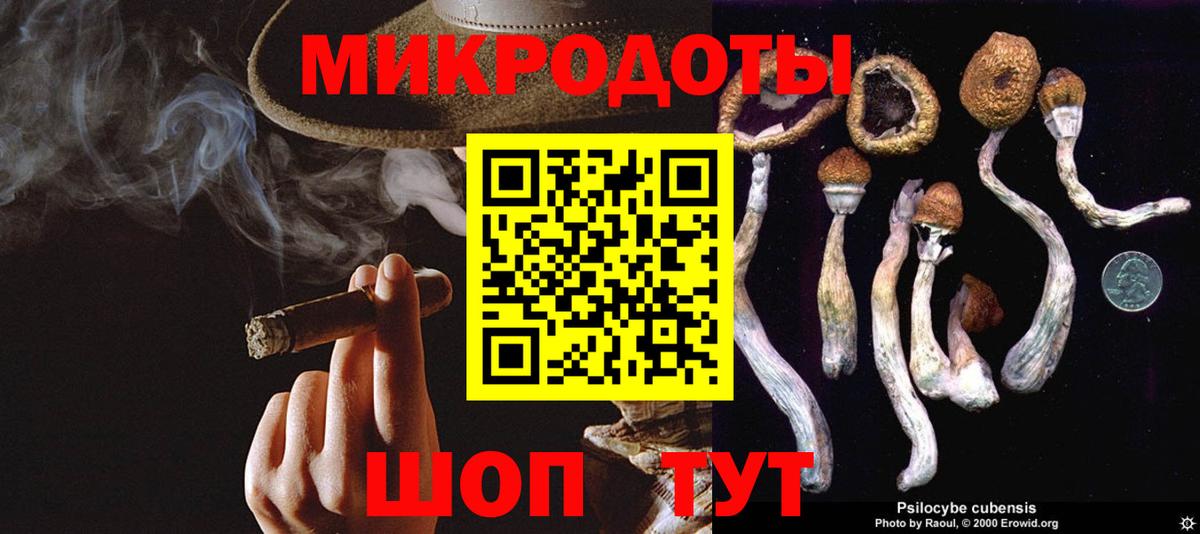 Галлюциногенные грибы Cubensis Котлас